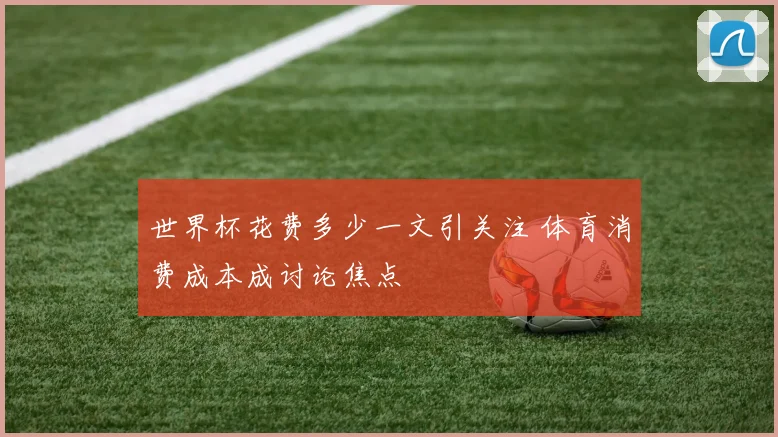 世界杯花费多少一文引关注 体育消费成本成讨论焦点