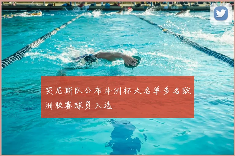 突尼斯队公布非洲杯大名单多名欧洲联赛球员入选