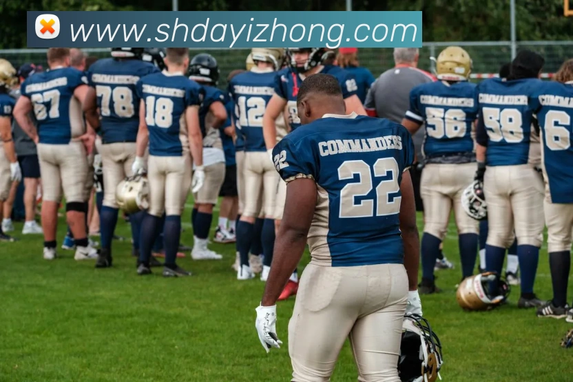 多媒体互动体验